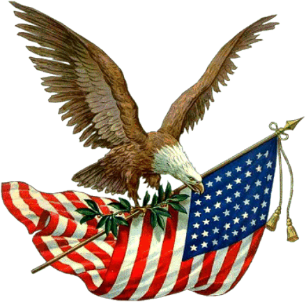 American Flag & Eagle - 439 x 433.pmg