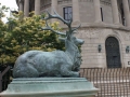 elks-memorial-bldg-1
