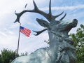 Chicago Elk 2 - 1280 x 1055.jpg