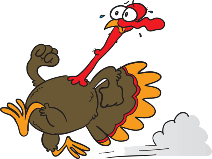thanksgiving-turkey-1