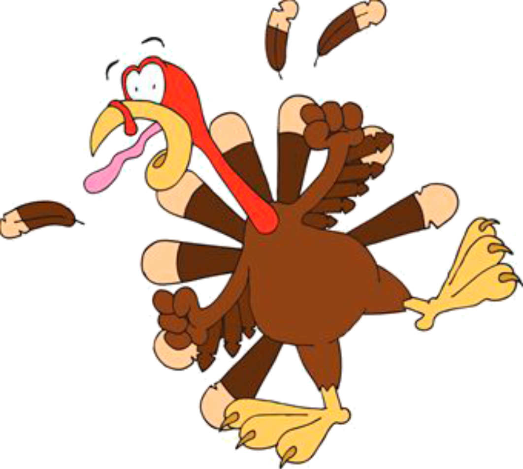 thanksgiving-turkey-2