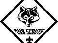 cub-scouts-1