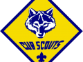 cub_scout_logo