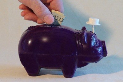 CHEMPI Purple Pig helps kids Walk, Talk, See and Play