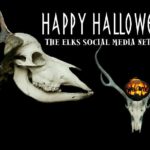 Happy halloween the ess social media network.