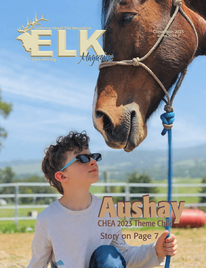 Boy in sunglasses looking up at horse