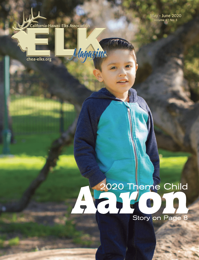 Young boy in blue jacket near tree