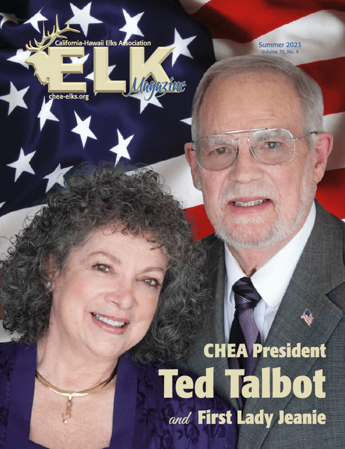 Older couple portrait with American flag background
