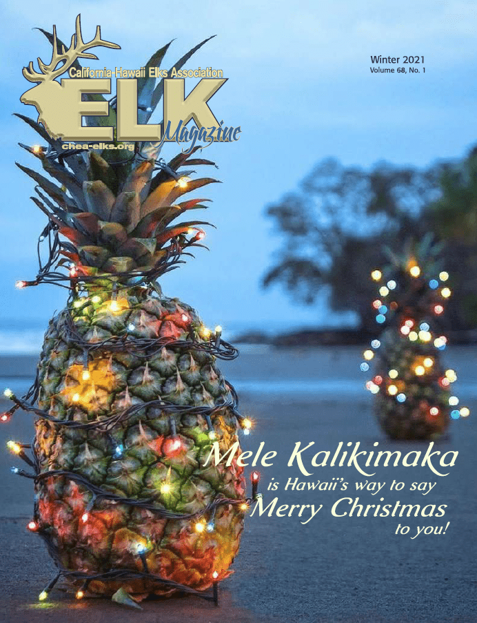 Pineapple wrapped in Christmas lights on beach