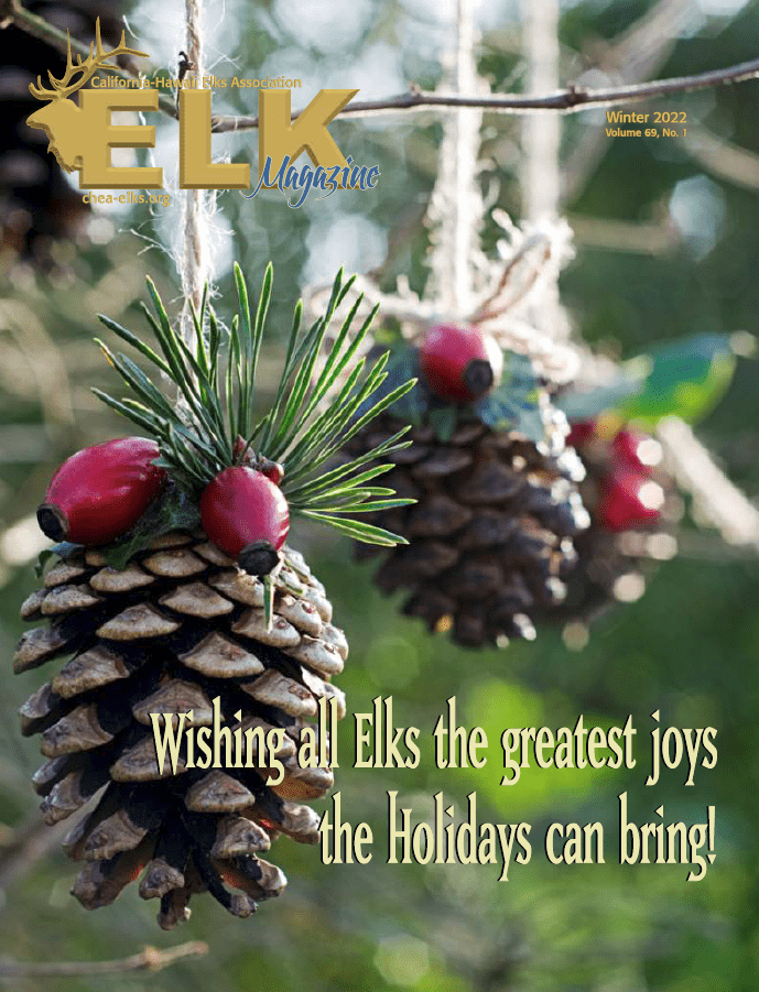 Hanging pinecone ornaments with red berries