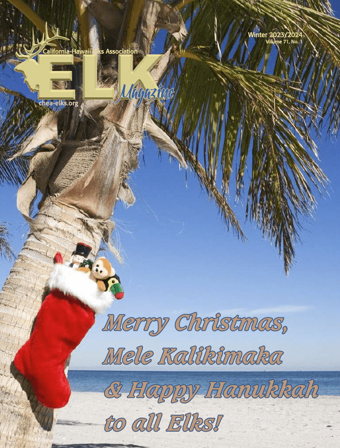 Christmas stocking hanging on palm tree at beach
