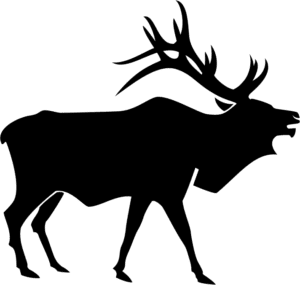 Solid black square background image