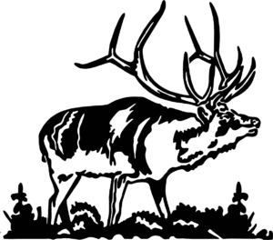 Solid black square background