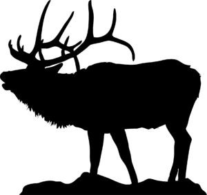 Black background with scattered white flecks