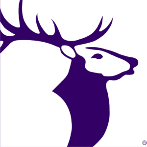 Purple stag head silhouette logo